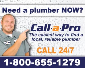 Call a Pro for Plumbers in Mesa